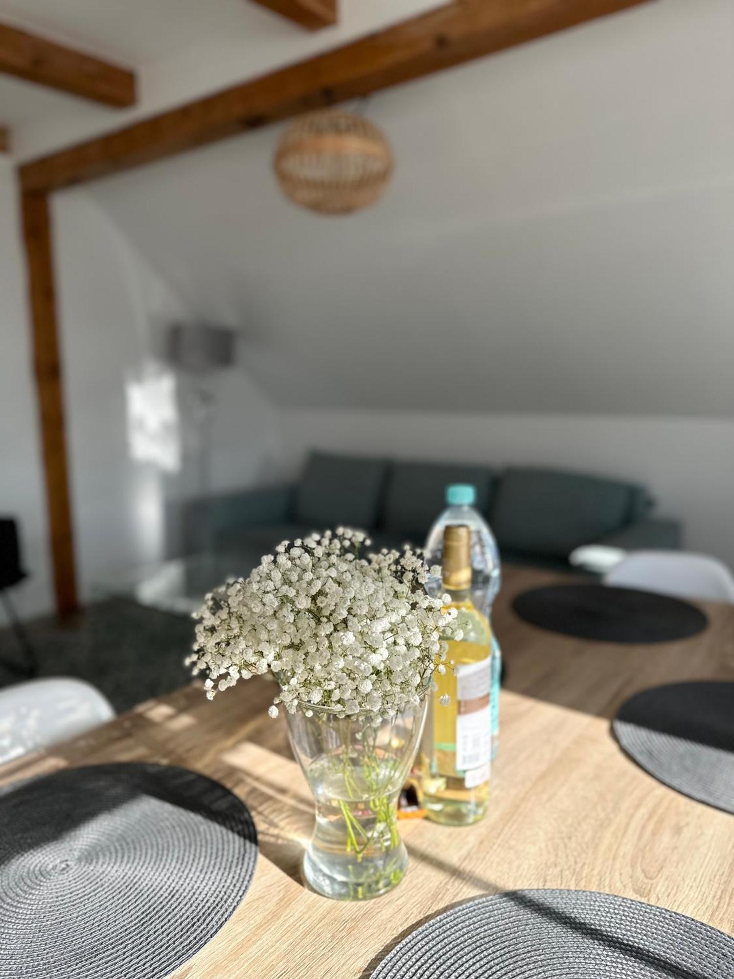 Klimatyczny Apartament Nr 8 Z Widokiem Na Gory Sowie Bielawa  Exteriér fotografie